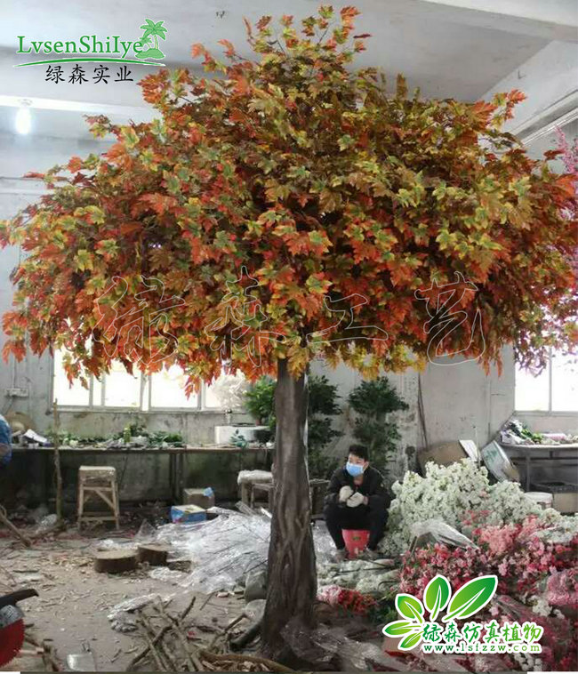 (sh)05